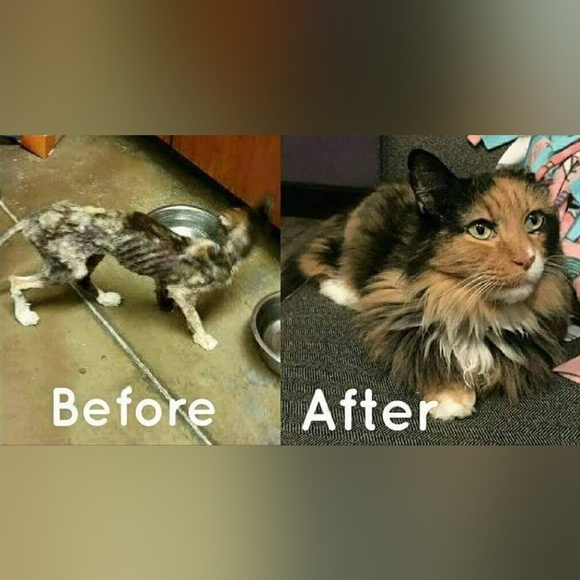 Meet your Posher, Adrienne - Picture 14 of 16